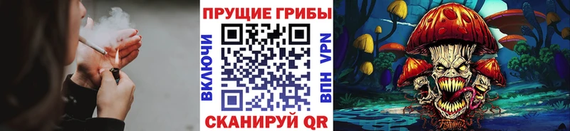 Псилоцибиновые грибы Psilocybine cubensis  дарнет шоп  Зубцов 
